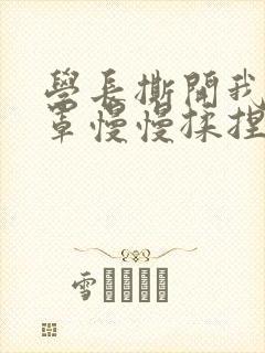 学长撕开我的乳罩慢慢揉捏小说