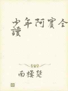 少年阿宾全集阅读