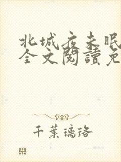 北城夜未眠小说全文阅读免费