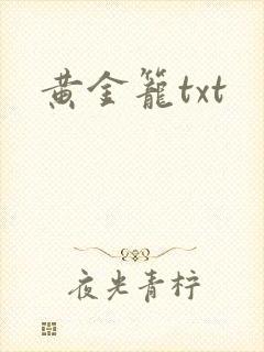 《黄金笼txt》小说封面