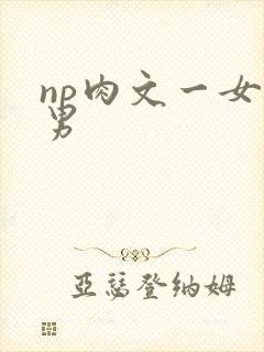 np肉文一女多男