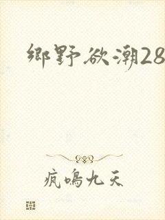 乡野欲潮28章