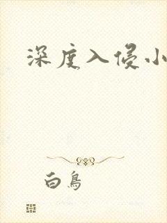 深度入侵小说