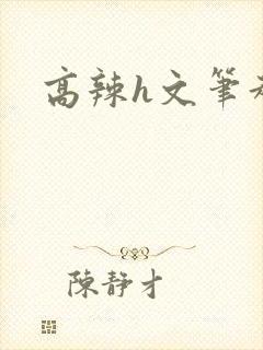 高辣h文笔趣阁