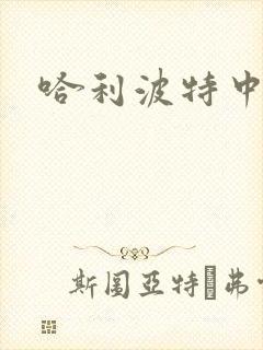 哈利波特中文版