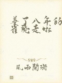 养了八年的金丝雀飞走啦