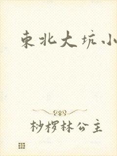 东北大坑小说
