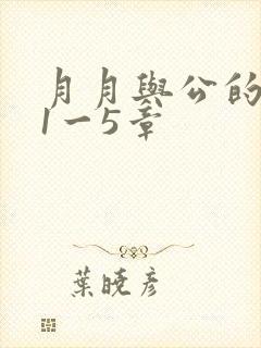 月月与公的激情1一5章