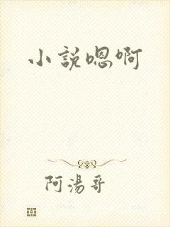 小说嗯啊