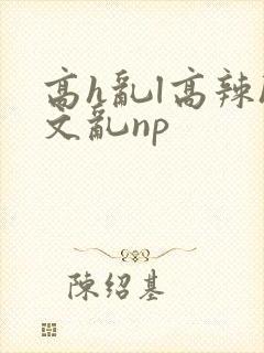 高h乱l高辣h文乱np