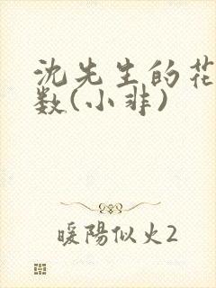 沈先生的花式调数(小非)