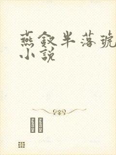 燕钗半落琥珀糖小说