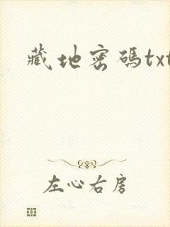 藏地密码txt封面