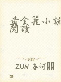 黄金笼小说免费阅读