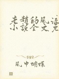 老赵的风流人生小说全文免费阅读