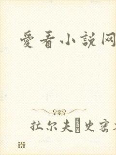 爱看小说网