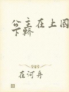 公主在上国师请下轿