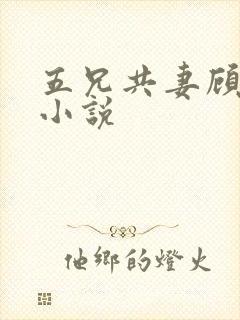 五兄共妻顾心儿小说