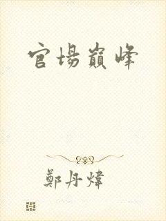 官场巅峰