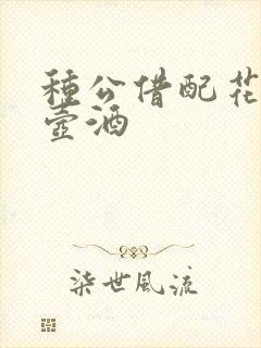 种公借配花间一壶酒