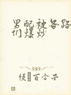 男配被各路大佬们爆炒