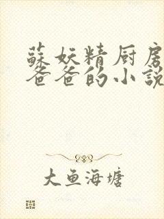 苏妖精厨房爹爹爸爸的小说