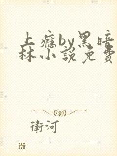 上瘾by黑暗森林小说免费