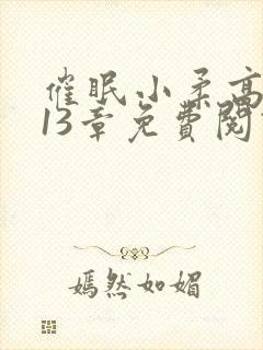 催眠小柔高达第13章免费阅读