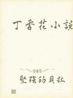 丁香花小说