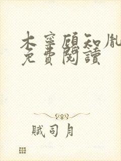 木宁顾知胤小说免费阅读