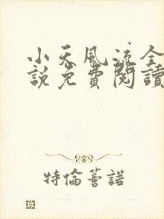 小天风流全集小说免费阅读
