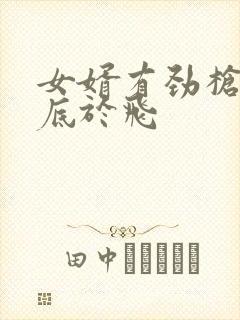 女婿有劲枪枪到底于飞