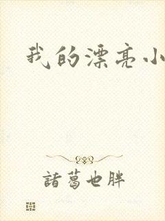 我的漂亮小后妈