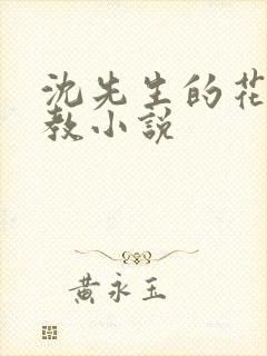 沈先生的花式调教小说