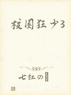 校园狂少3