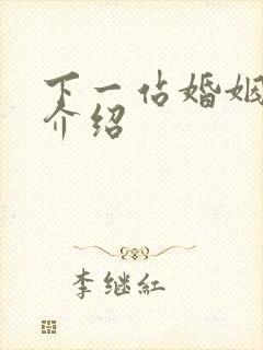 下一站婚姻剧情介绍