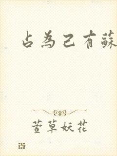 占为己有苏静初