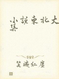 小说东北大炕全集