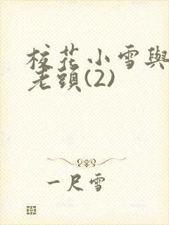 校花小雪与门卫老头(2)