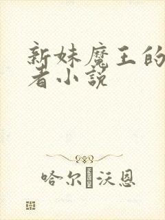 新妹魔王的契约者小说