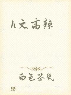 《h文高辣》小说封面