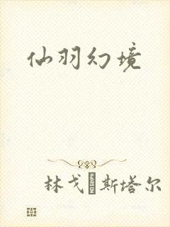 仙羽幻境封面