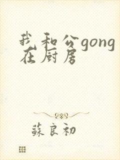 我和公gong在厨房