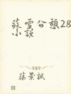 苏雪公憩28篇小说