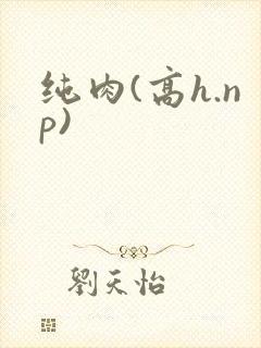 纯肉(高h.np)