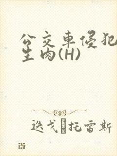 公交车侵犯小男生肉(H)