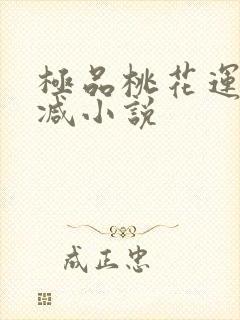 极品桃花运未删减小说