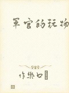 军官的玩物