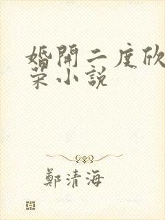 婚开二度欣欣向荣小说