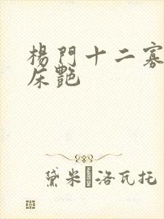 杨门十二寡妇肉床艳